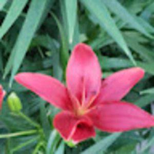 Meet your Posher, Sherry